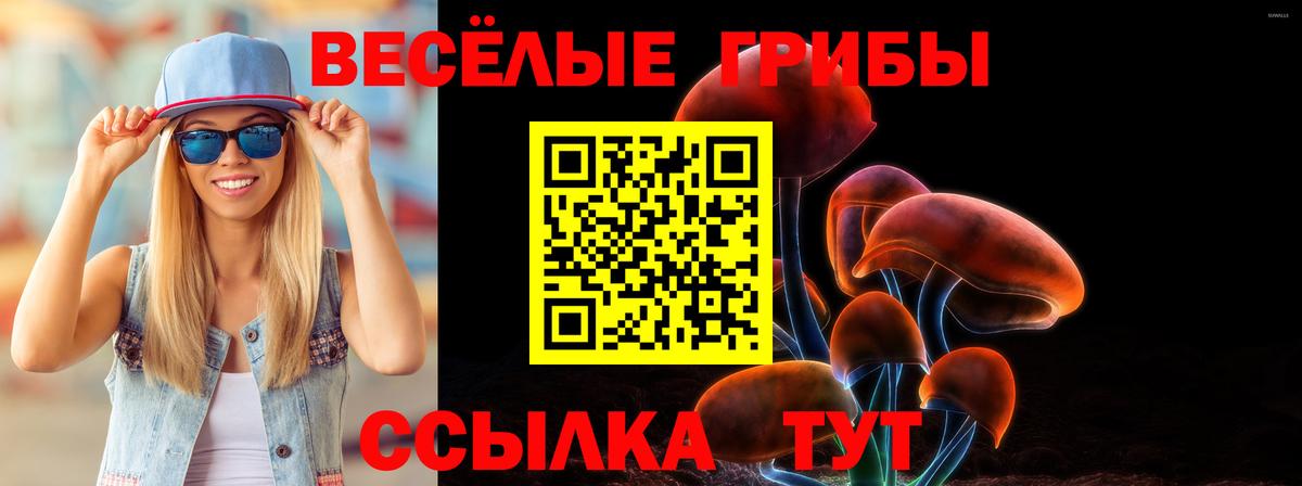 наркошоп  Псилоцибиновые грибы Magic Shrooms  Вход с VPN  Черкесск 